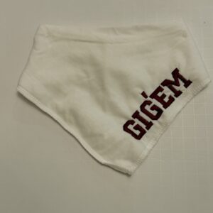 Texas A&M | no-size
