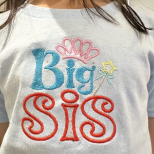 Big Sister | Various